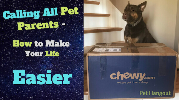 doberman sitting next to large cardboard box